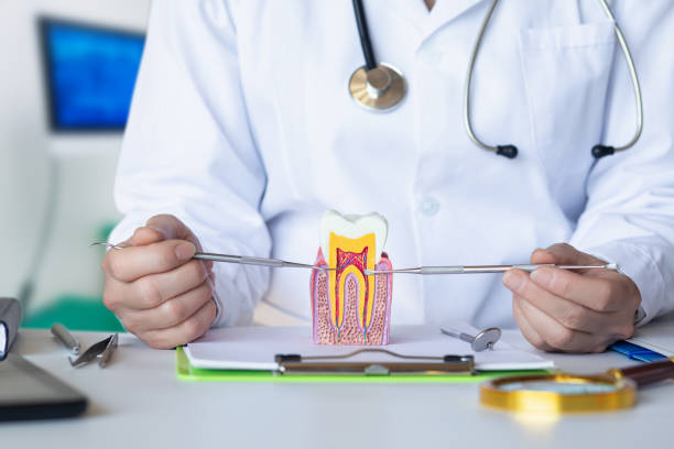 Best Cosmetic Emergency Dentistry in Tuckahoe, VA